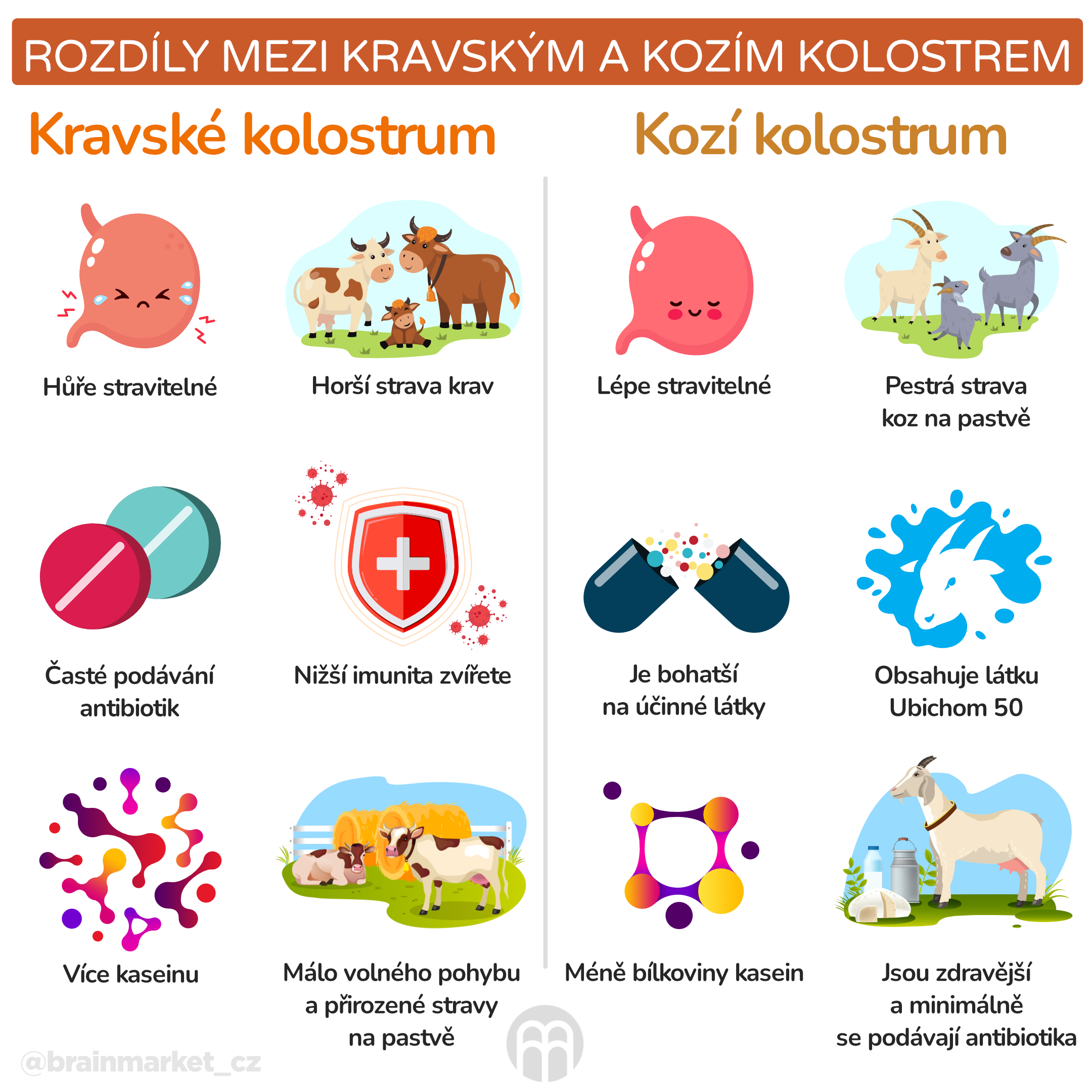 Rozdíly mezi kravským a kozím kolostrem_infografika_cz